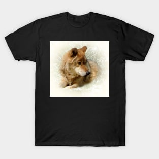 Wolf portrait T-Shirt